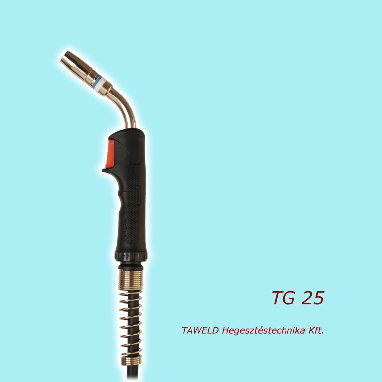 TG 25 welding torch